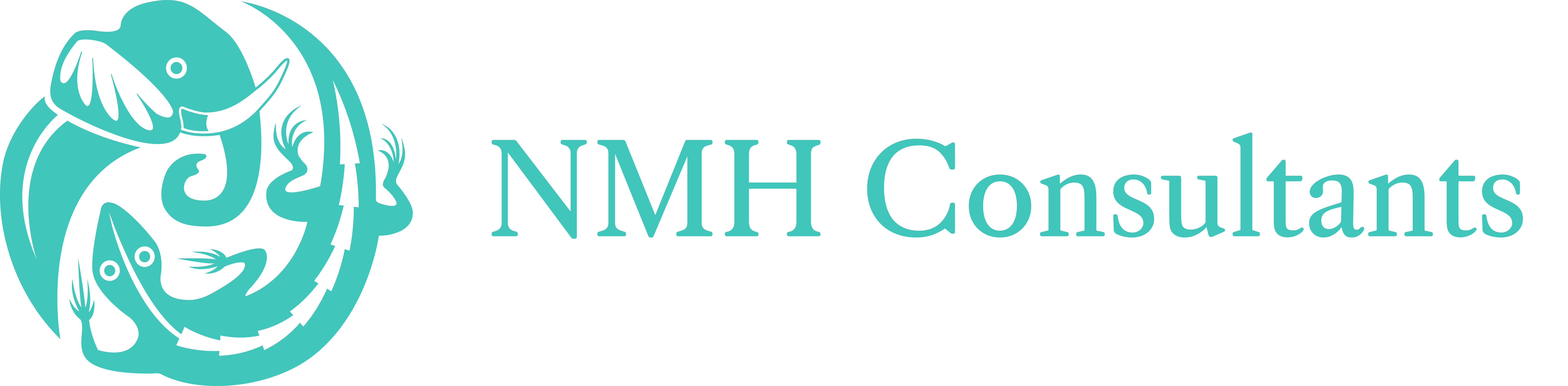 NMH Consultants